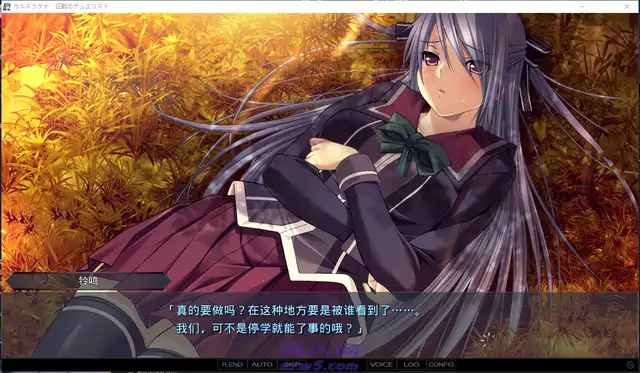 [策略SLG]乌鲁斯拉格纳~征战的决斗者全CG存档3.5G